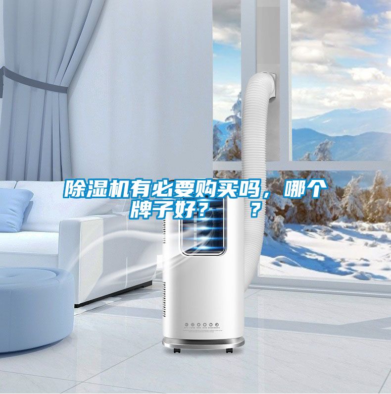 除濕機有必要購買嗎，哪個牌子好？  ？