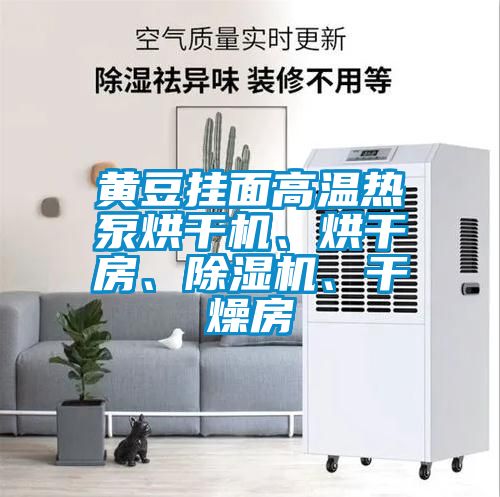 黃豆掛面高溫?zé)岜煤娓蓹C、烘干房、除濕機、干燥房