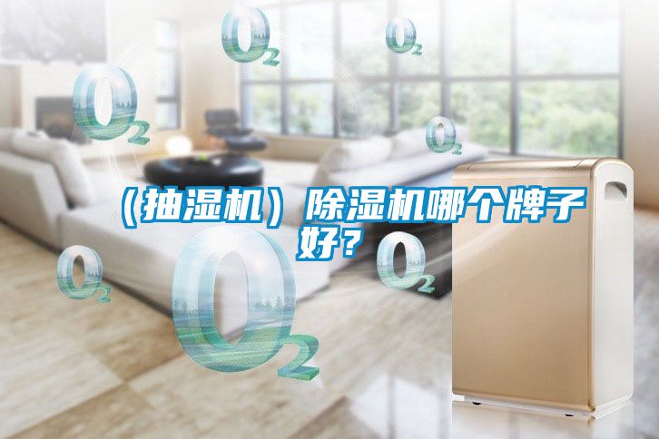 （抽濕機）除濕機哪個牌子好？
