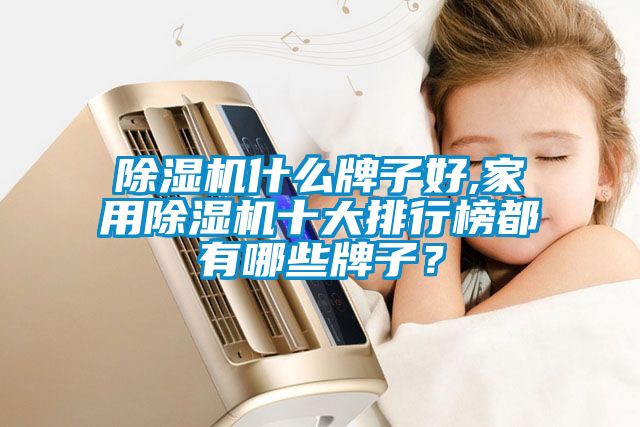 除濕機什么牌子好,家用除濕機十大排行榜都有哪些牌子？