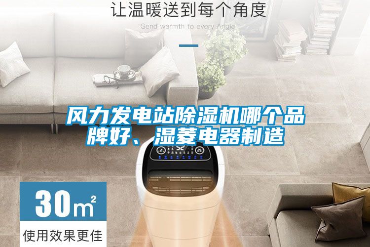 風(fēng)力發(fā)電站除濕機(jī)哪個(gè)品牌好、濕菱電器制造
