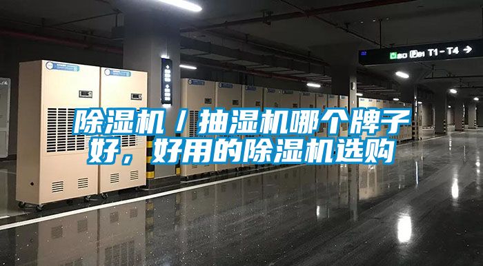 除濕機(jī)／抽濕機(jī)哪個(gè)牌子好，好用的除濕機(jī)選購(gòu)