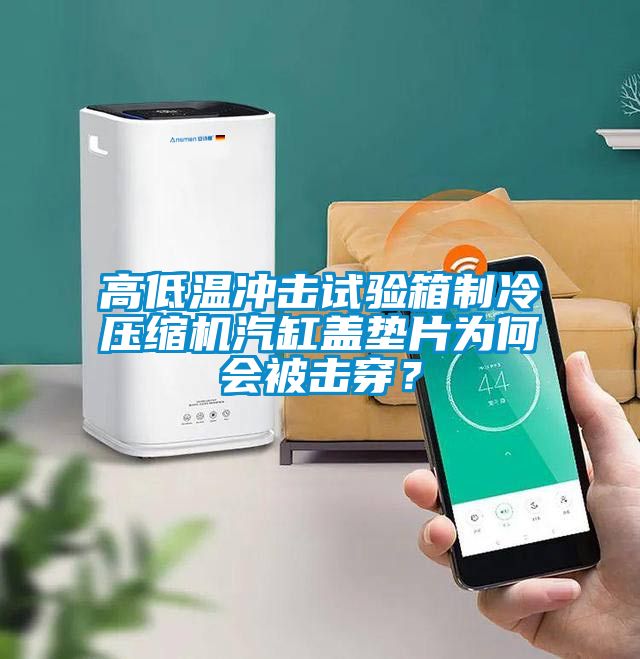 高低溫沖擊試驗(yàn)箱制冷壓縮機(jī)汽缸蓋墊片為何會(huì)被擊穿？