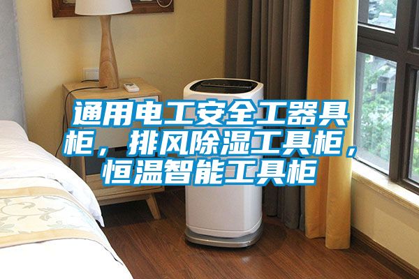 通用電工安全工器具柜，排風(fēng)除濕工具柜，恒溫智能工具柜