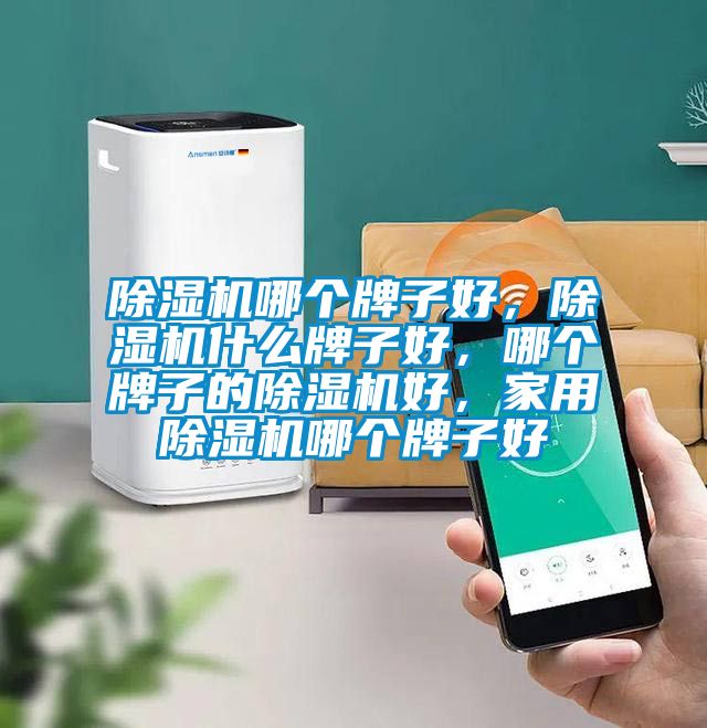 除濕機(jī)哪個(gè)牌子好，除濕機(jī)什么牌子好，哪個(gè)牌子的除濕機(jī)好，家用除濕機(jī)哪個(gè)牌子好