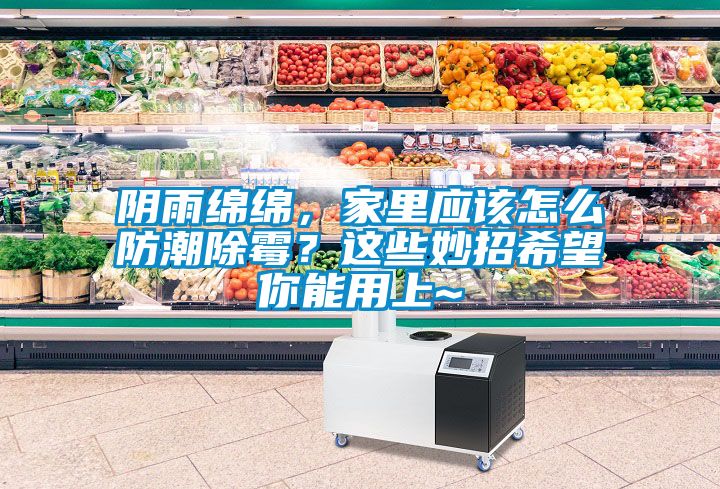 陰雨綿綿，家里應(yīng)該怎么防潮除霉？這些妙招希望你能用上~