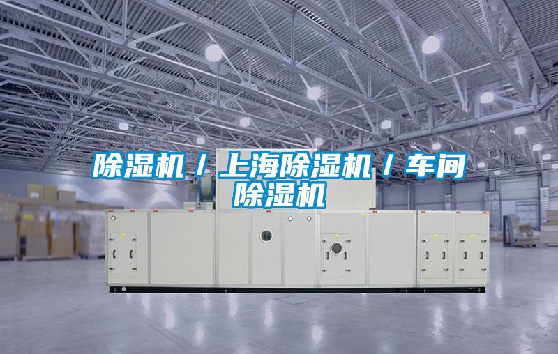 除濕機(jī)／上海除濕機(jī)／車(chē)間除濕機(jī)