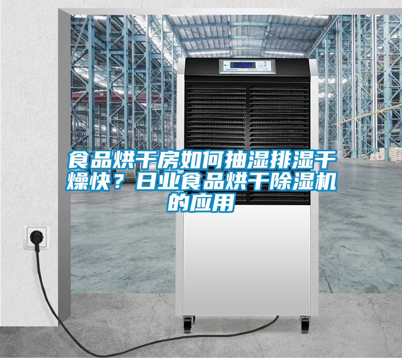 食品烘干房如何抽濕排濕干燥快？日業(yè)食品烘干除濕機的應(yīng)用