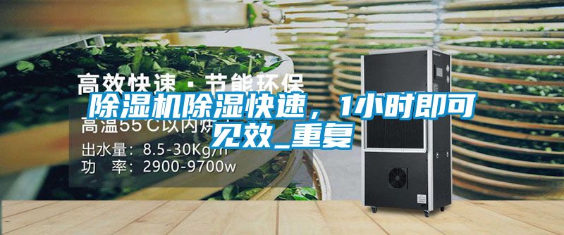 除濕機除濕快速，1小時即可見效_重復(fù)