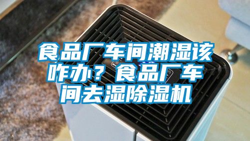 食品廠車間潮濕該咋辦？食品廠車間去濕除濕機(jī)