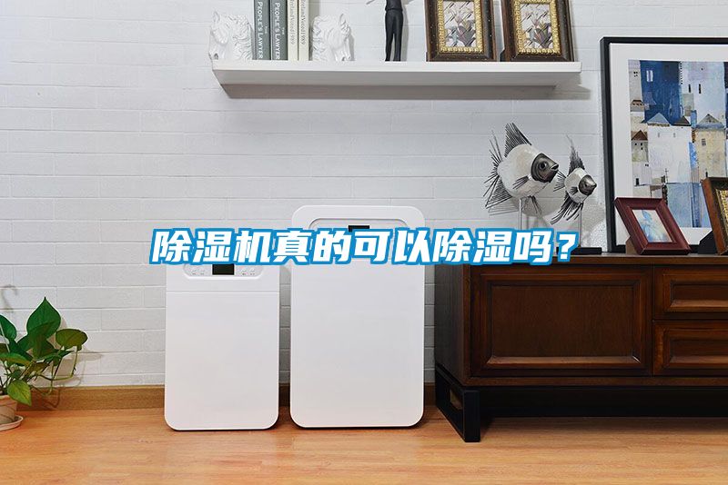 除濕機真的可以除濕嗎？