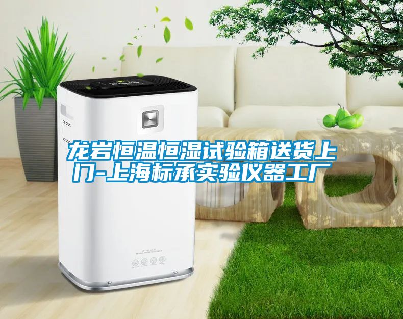 龍巖恒溫恒濕試驗箱送貨上門-上海標(biāo)承實驗儀器工廠