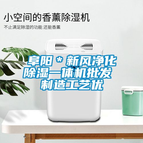 阜陽＊新風(fēng)凈化除濕一體機批發(fā) 制造工藝優(yōu)