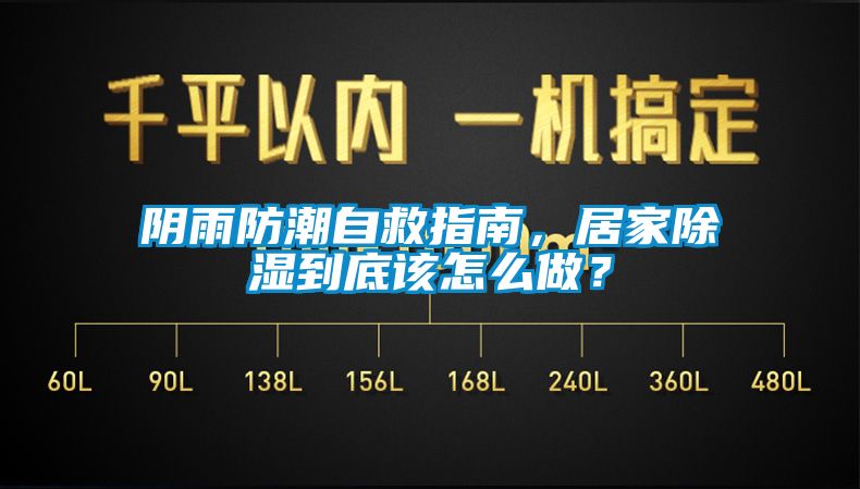 陰雨防潮自救指南，居家除濕到底該怎么做？