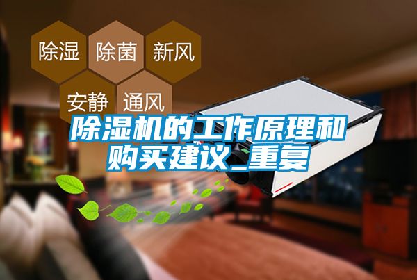 除濕機(jī)的工作原理和購(gòu)買(mǎi)建議_重復(fù)