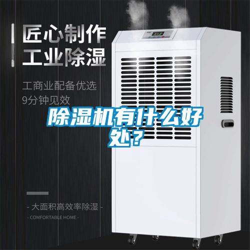 除濕機(jī)有什么好處？