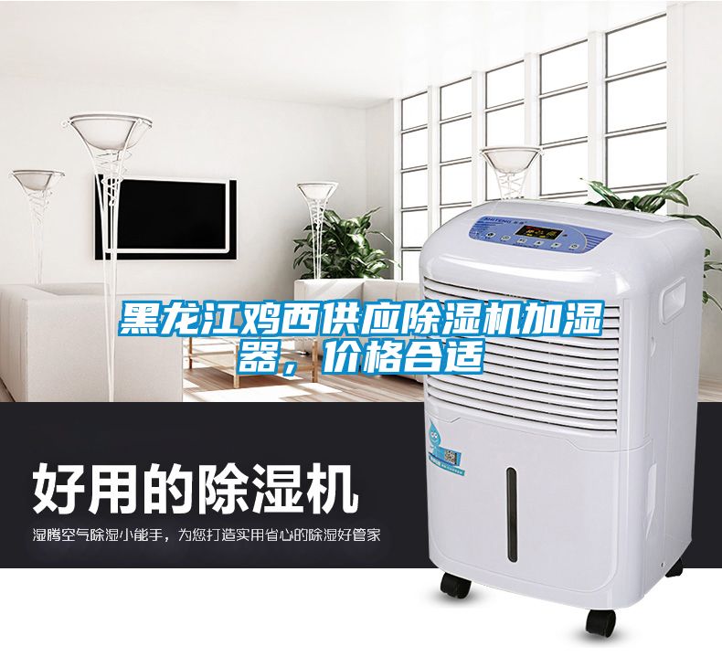 黑龍江雞西供應(yīng)除濕機(jī)加濕器，價(jià)格合適