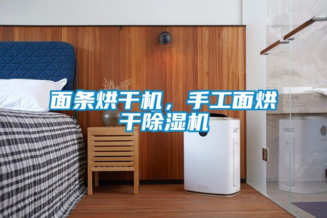 面條烘干機，手工面烘干除濕機