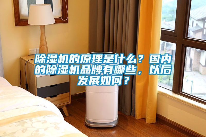 除濕機(jī)的原理是什么？國內(nèi)的除濕機(jī)品牌有哪些，以后發(fā)展如何？