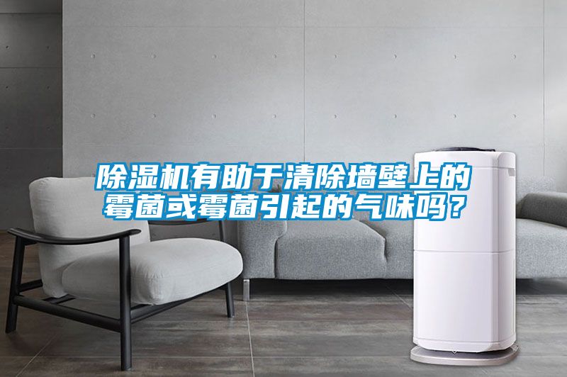 除濕機(jī)有助于清除墻壁上的霉菌或霉菌引起的氣味嗎？