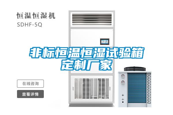 非標(biāo)恒溫恒濕試驗箱定制廠家