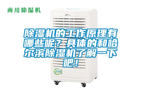 除濕機的工作原理有哪些呢？具體的和哈爾濱除濕機了解一下吧！