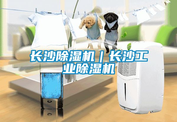 長沙除濕機｜長沙工業(yè)除濕機