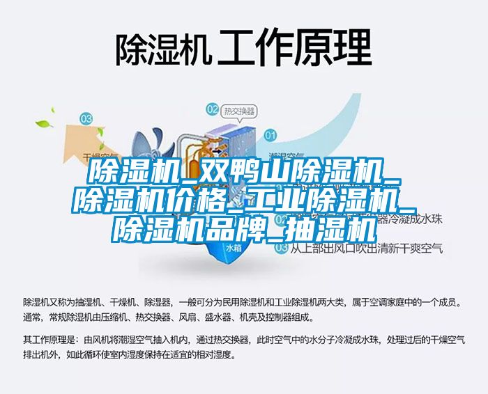 除濕機(jī)_雙鴨山除濕機(jī)_除濕機(jī)價格_工業(yè)除濕機(jī)_除濕機(jī)品牌_抽濕機(jī)