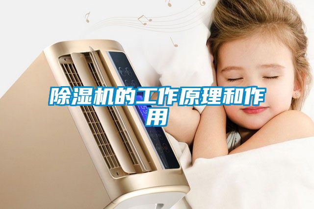 除濕機(jī)的工作原理和作用
