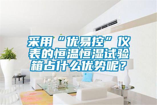 采用“優(yōu)易控”儀表的恒溫恒濕試驗(yàn)箱占什么優(yōu)勢呢？