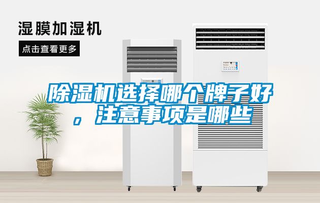 除濕機(jī)選擇哪個(gè)牌子好，注意事項(xiàng)是哪些