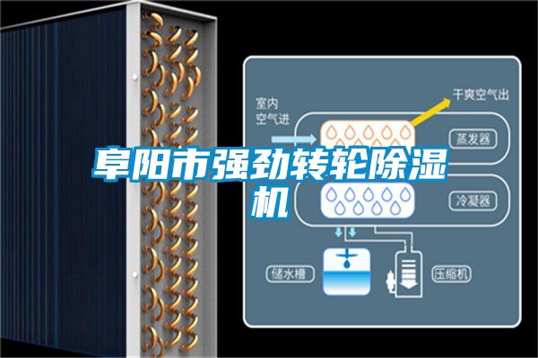 阜陽市強勁轉(zhuǎn)輪除濕機