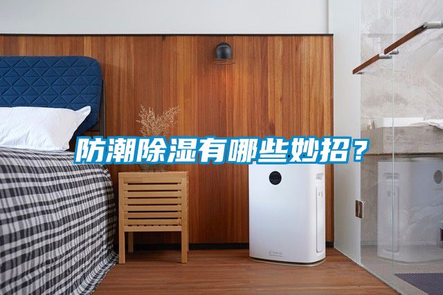防潮除濕有哪些妙招？