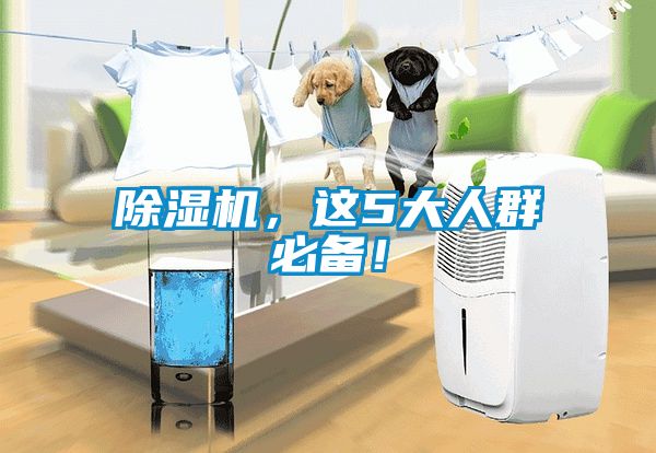 除濕機(jī)，這5大人群必備！