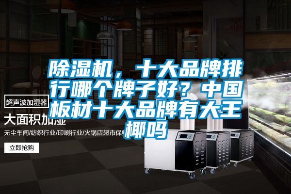 除濕機(jī)，十大品牌排行哪個牌子好？中國板材十大品牌有大王椰嗎