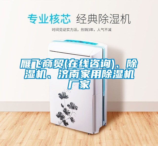 雁飛商貿(在線咨詢)、除濕機、濟南家用除濕機廠家