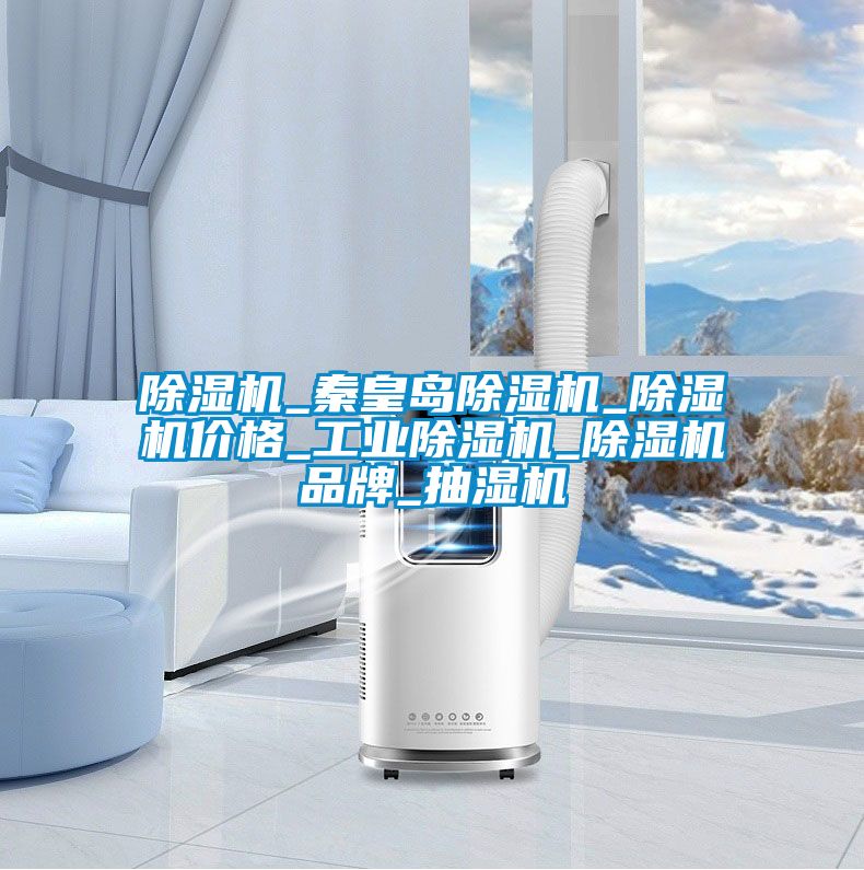 除濕機(jī)_秦皇島除濕機(jī)_除濕機(jī)價格_工業(yè)除濕機(jī)_除濕機(jī)品牌_抽濕機(jī)