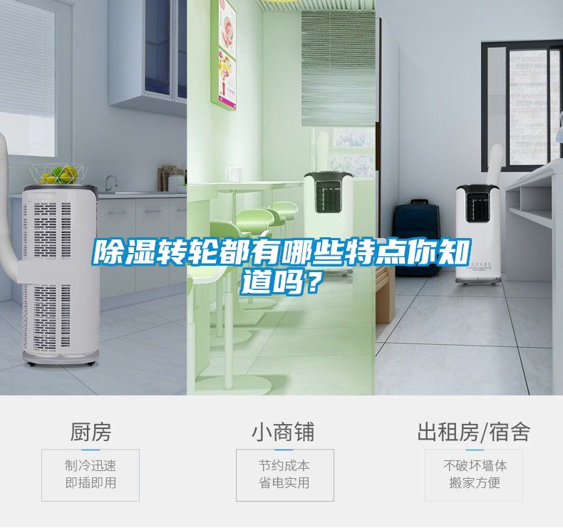 除濕轉(zhuǎn)輪都有哪些特點(diǎn)你知道嗎？