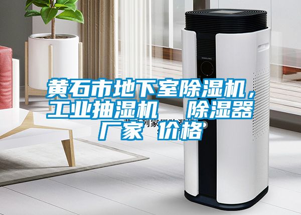 黃石市地下室除濕機，工業(yè)抽濕機  除濕器廠家 價格