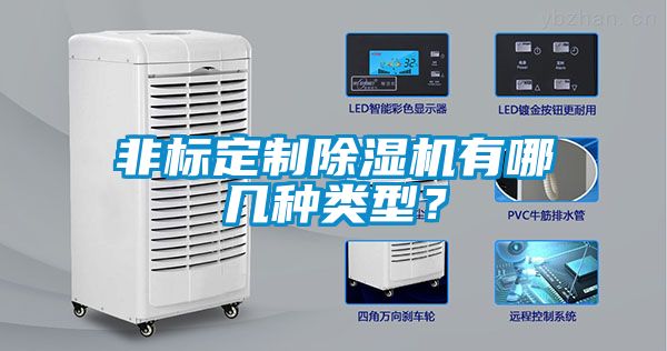 非標(biāo)定制除濕機(jī)有哪幾種類型？