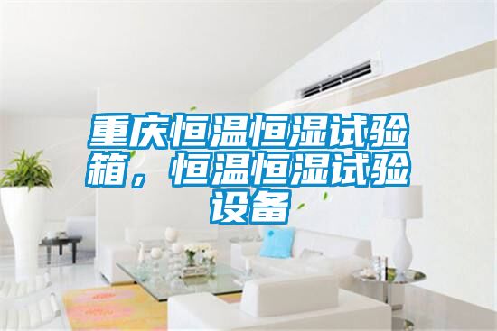 重慶恒溫恒濕試驗箱，恒溫恒濕試驗設(shè)備