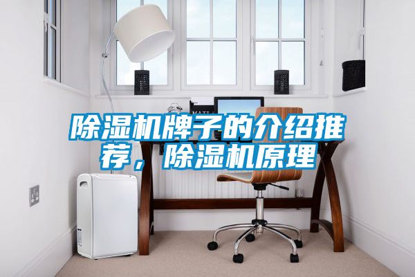 除濕機(jī)牌子的介紹推薦，除濕機(jī)原理