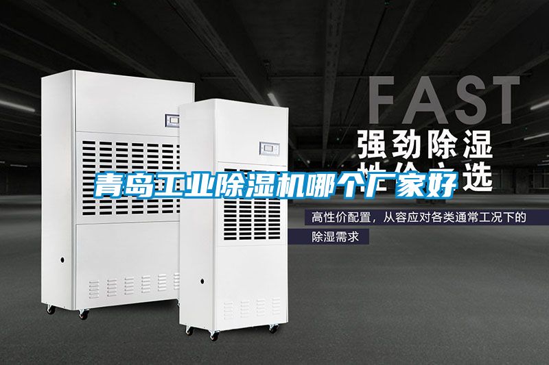 青島工業(yè)除濕機(jī)哪個(gè)廠(chǎng)家好