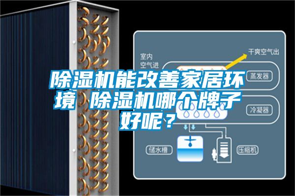 除濕機(jī)能改善家居環(huán)境 除濕機(jī)哪個(gè)牌子好呢？
