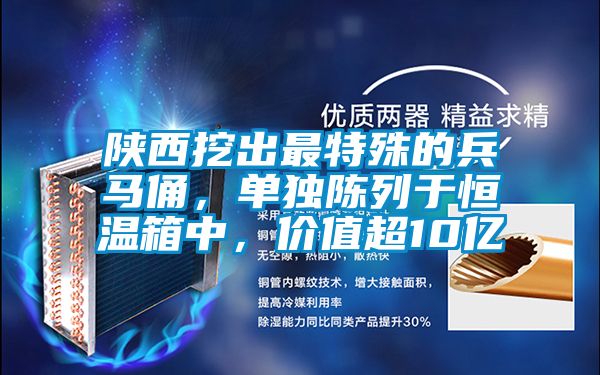 陜西挖出最特殊的兵馬俑，單獨(dú)陳列于恒溫箱中，價(jià)值超10億