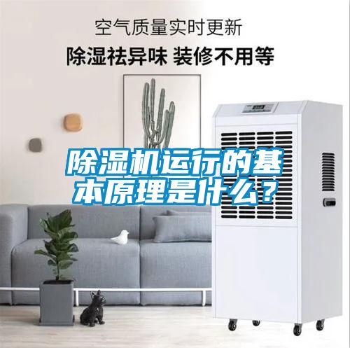 除濕機(jī)運(yùn)行的基本原理是什么？