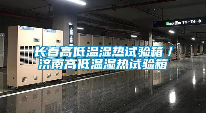 長(zhǎng)春高低溫濕熱試驗(yàn)箱／濟(jì)南高低溫濕熱試驗(yàn)箱