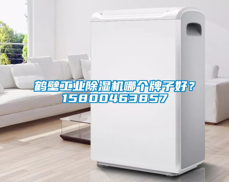 鶴壁工業(yè)除濕機(jī)哪個(gè)牌子好？15800463857