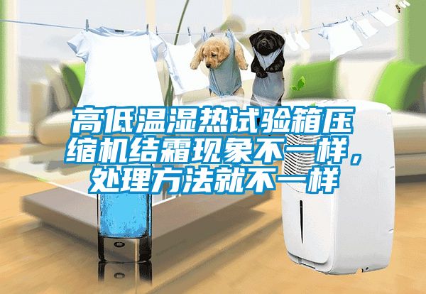 高低溫濕熱試驗箱壓縮機結(jié)霜現(xiàn)象不一樣，處理方法就不一樣