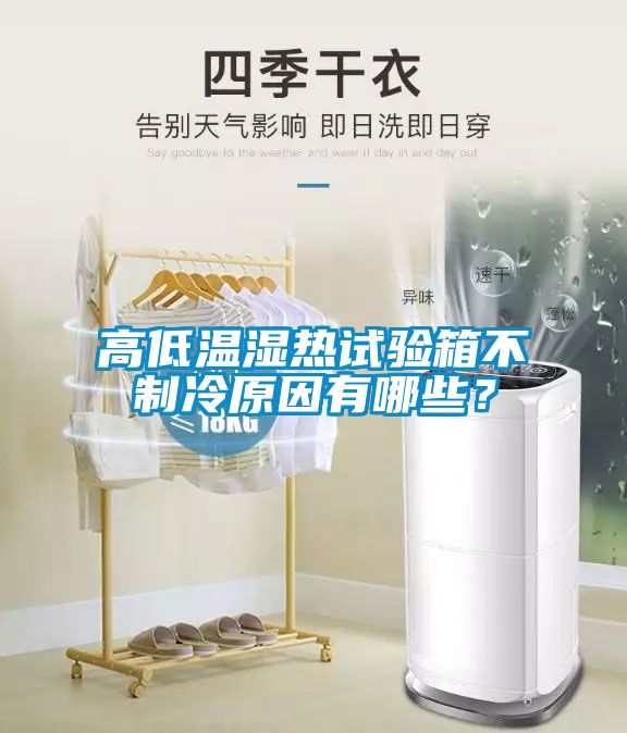 高低溫濕熱試驗箱不制冷原因有哪些？